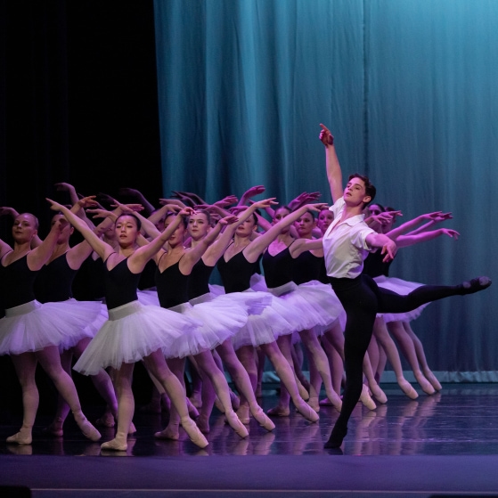 Dancers with white tutus on stage