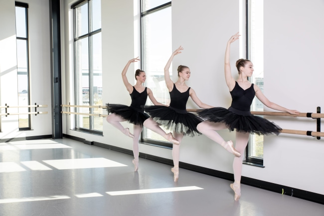 Pre-Professional Program